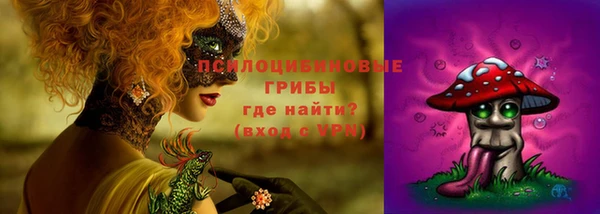 шишки Алексеевка